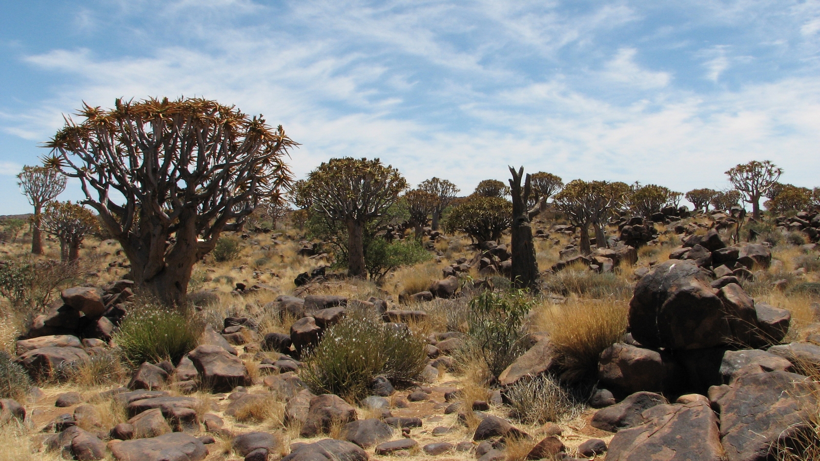 Namibia 061018 124304