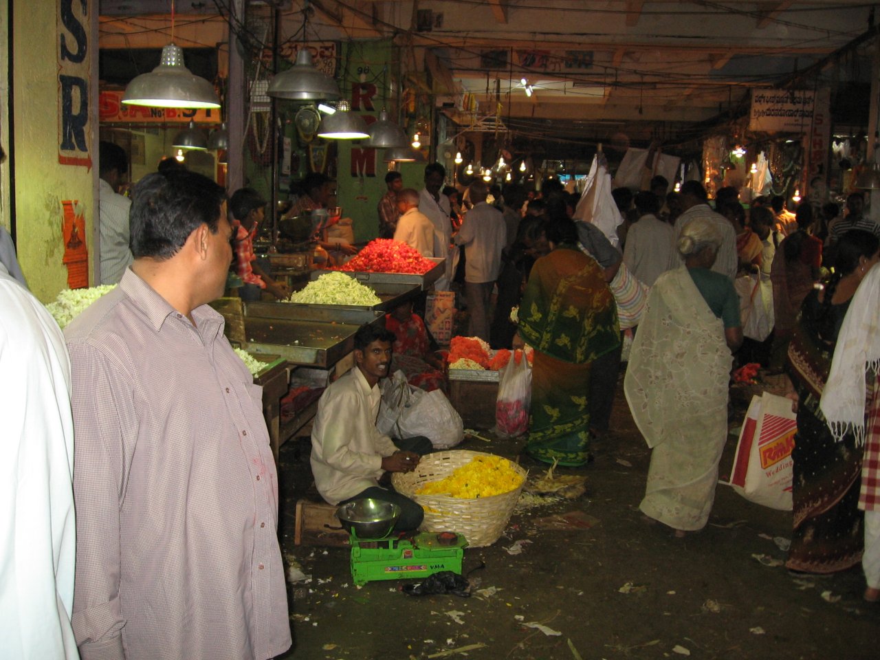 Krishnarajendra2