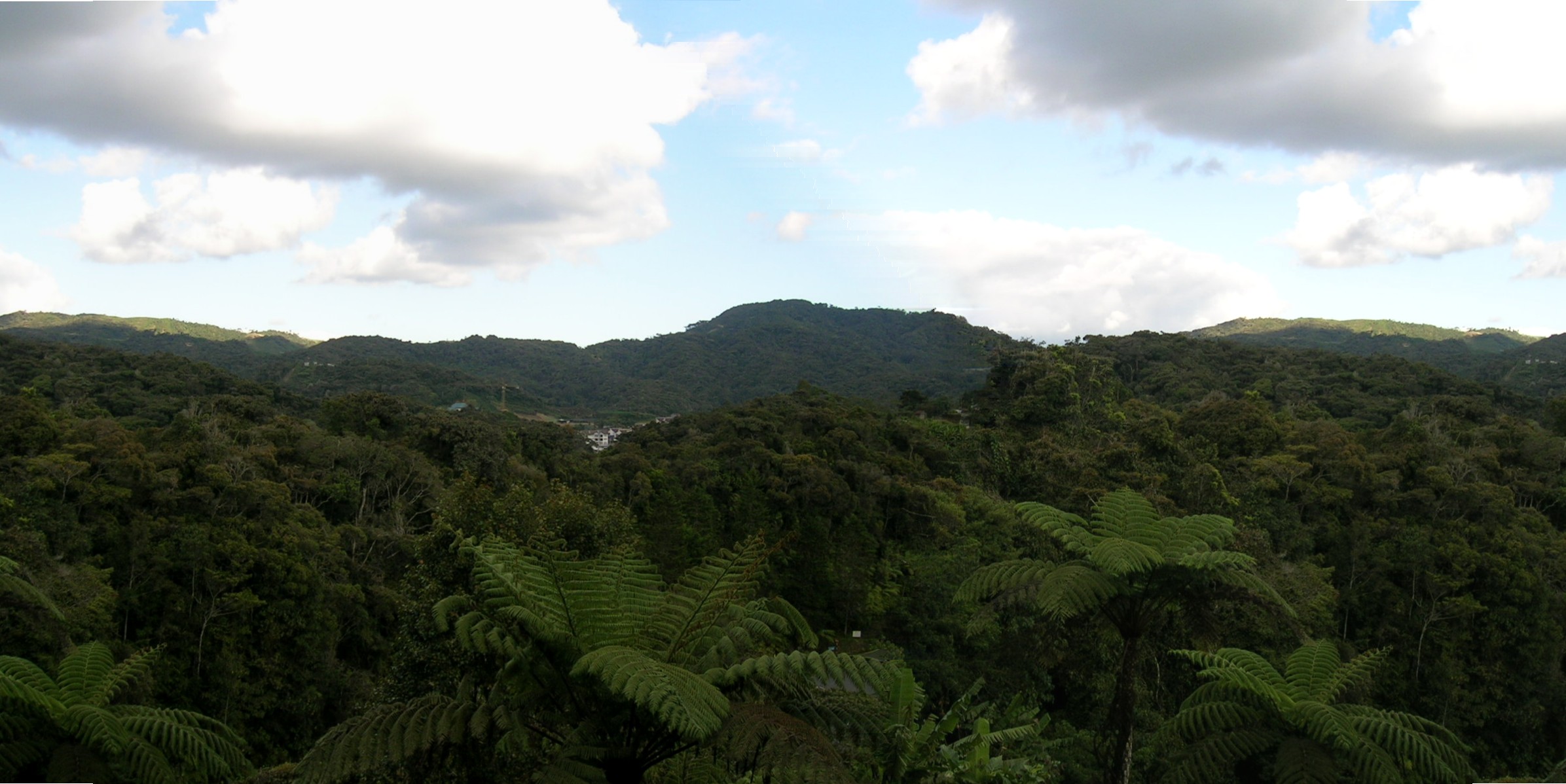 Cameron panorama