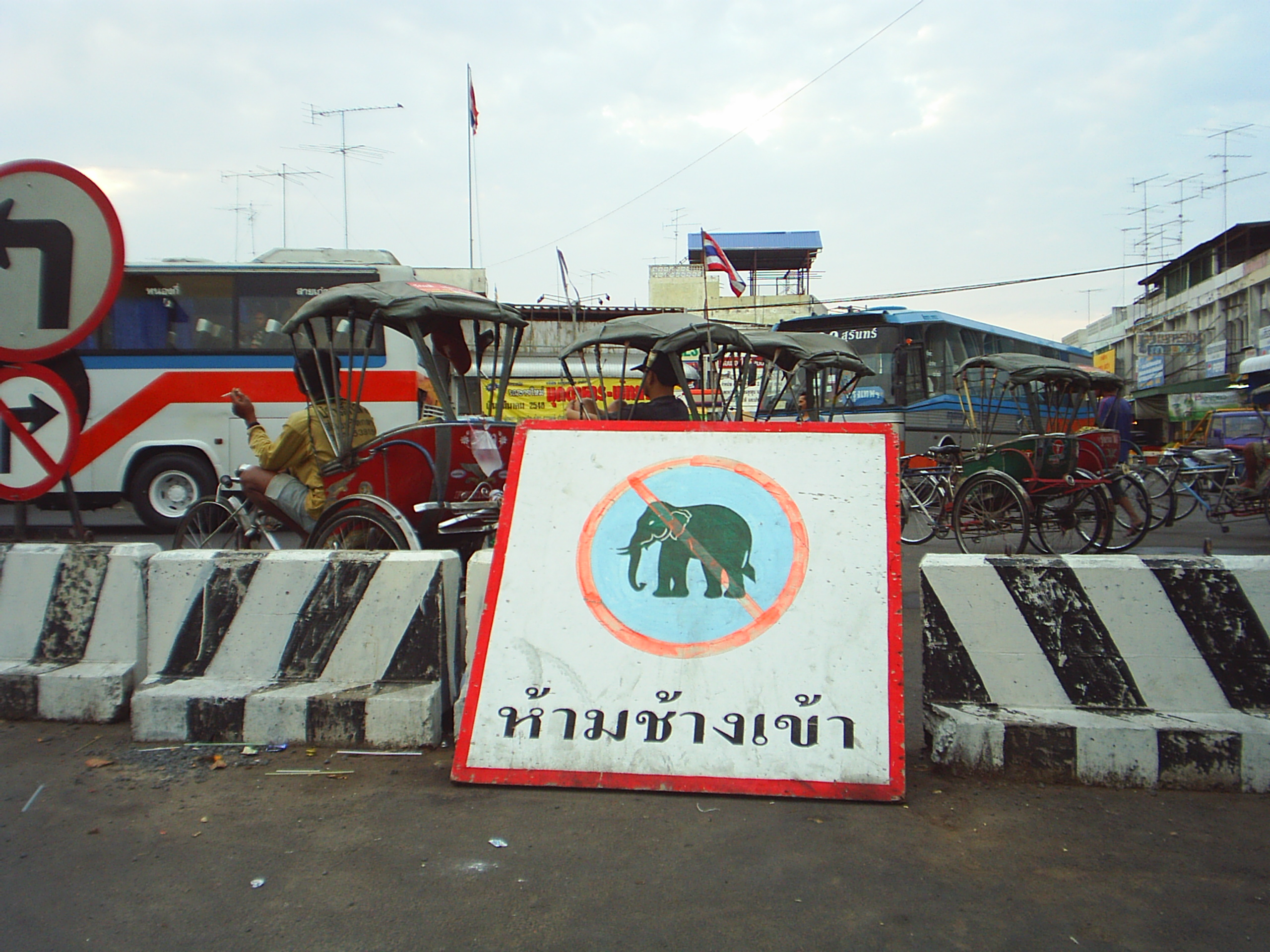 Surinnoelephants