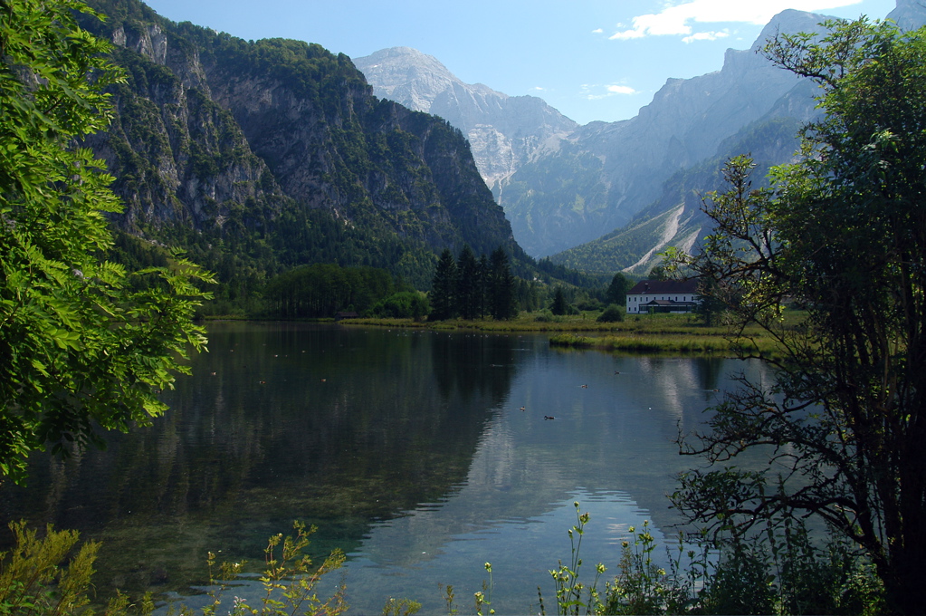 Almsee1