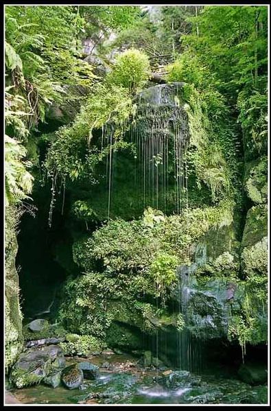 395px Amselfall.jpg