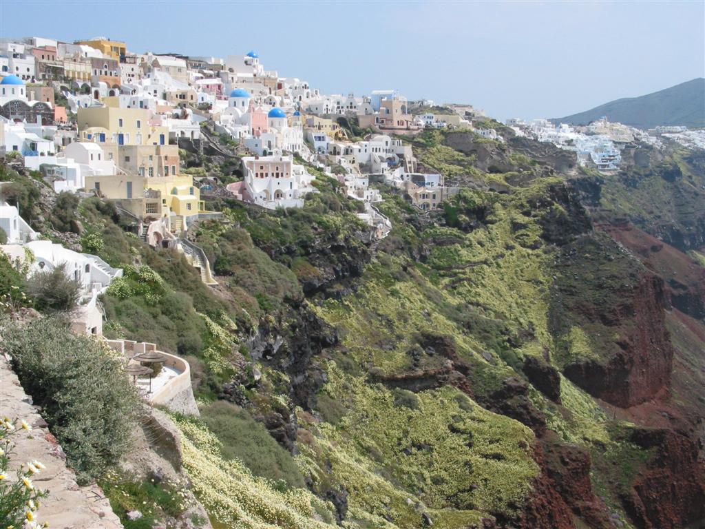 Oia flower carpet