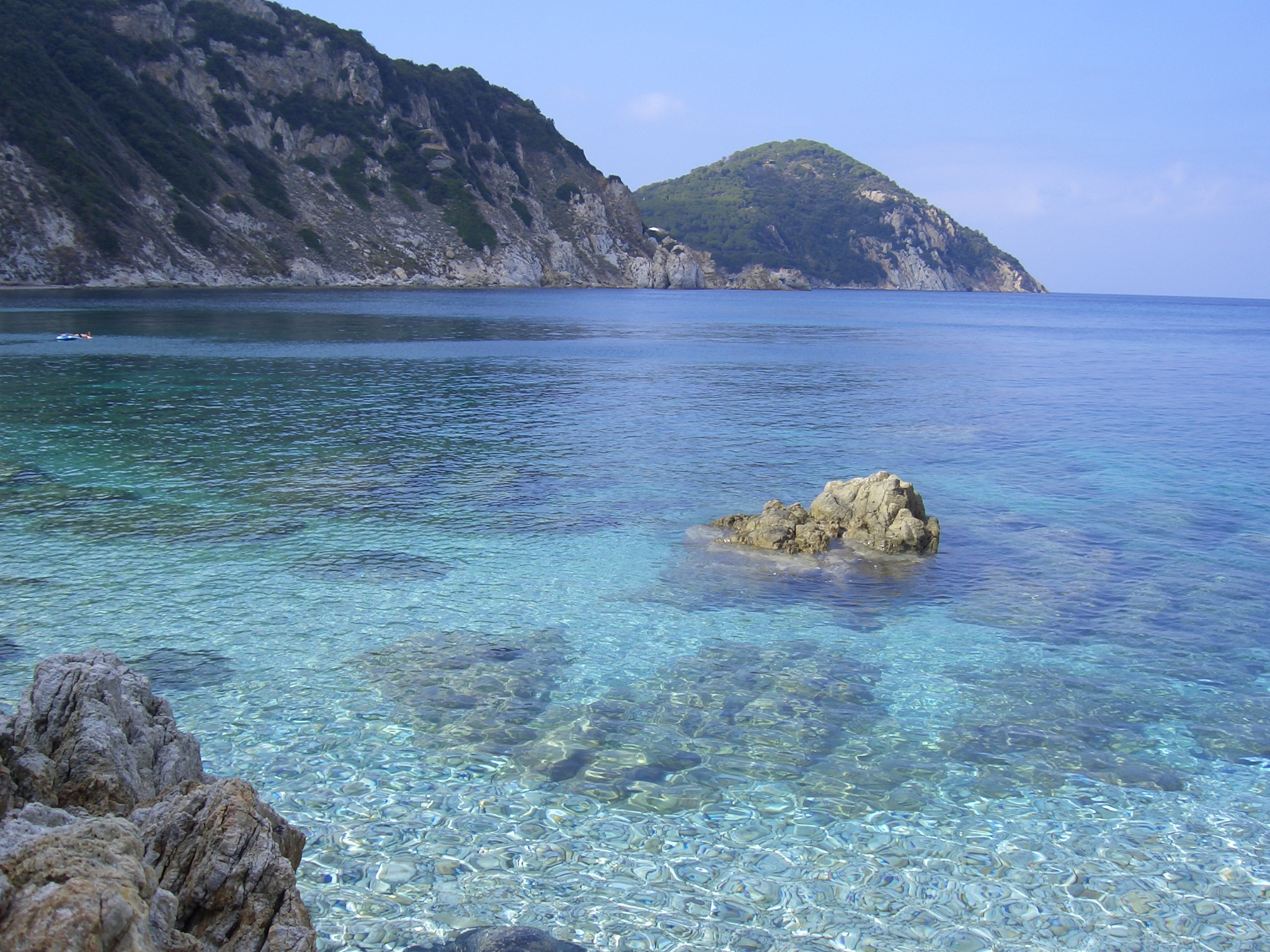 Elba Enfola