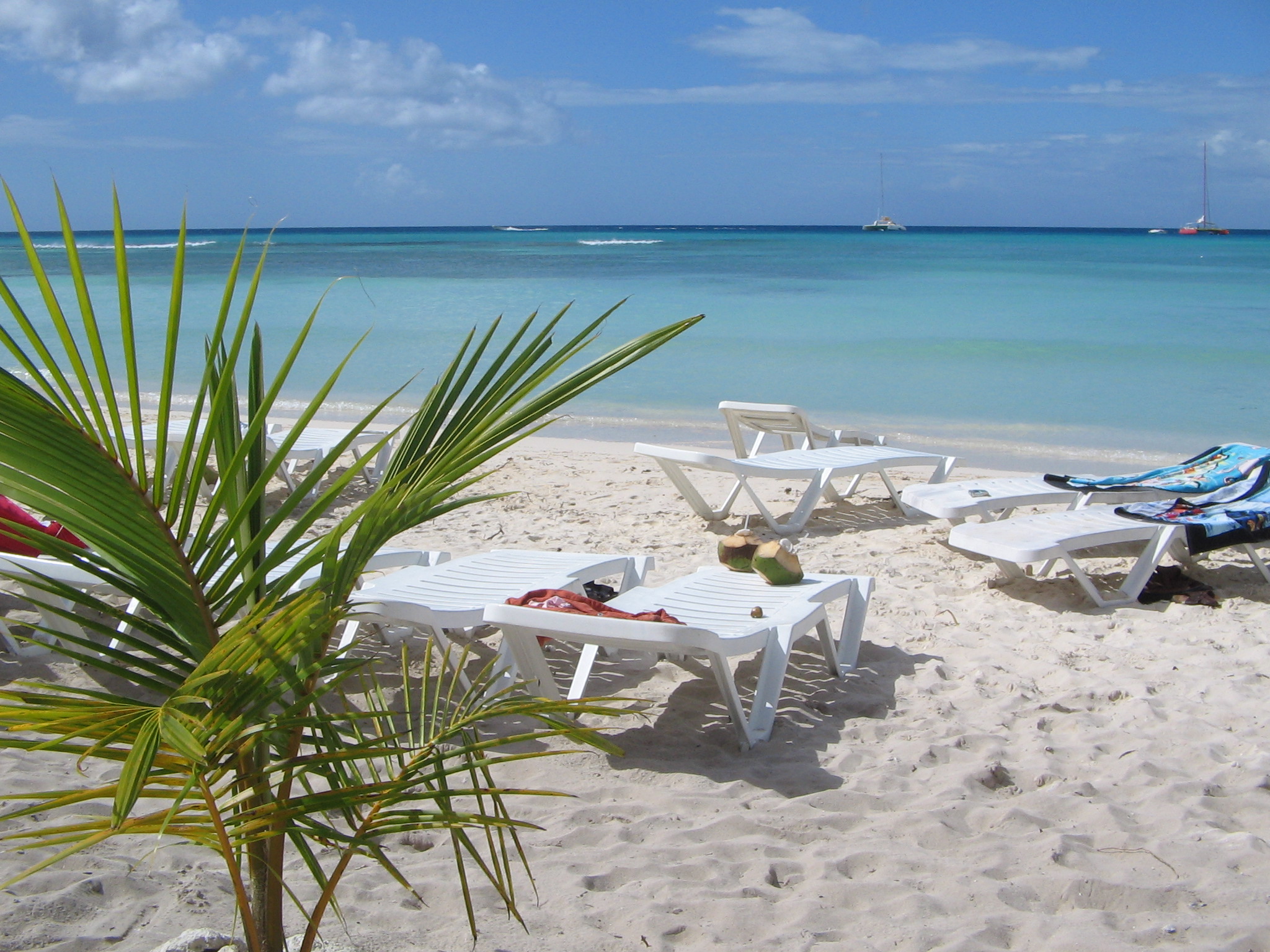 Saona Island Beach