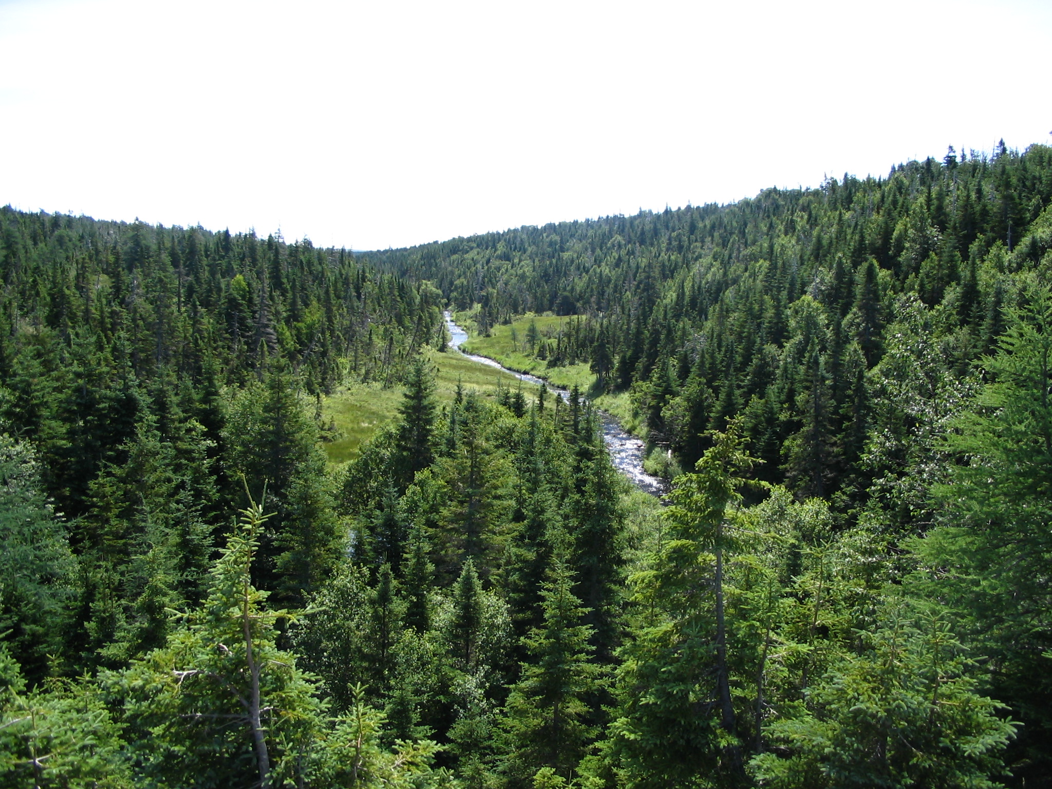 Cape Breton 07