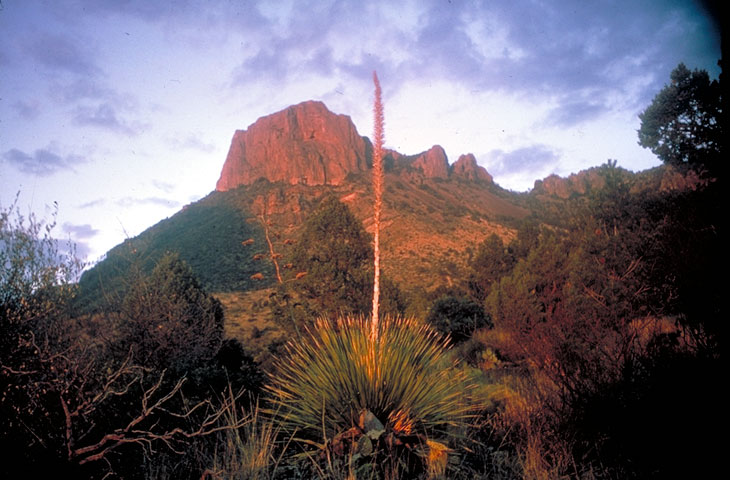 Big bend np