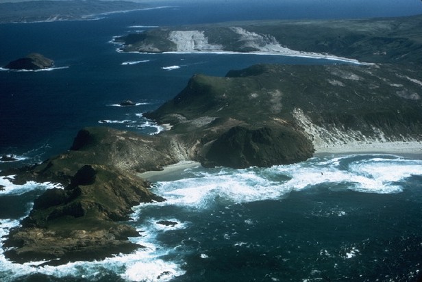 Channel Islands 10