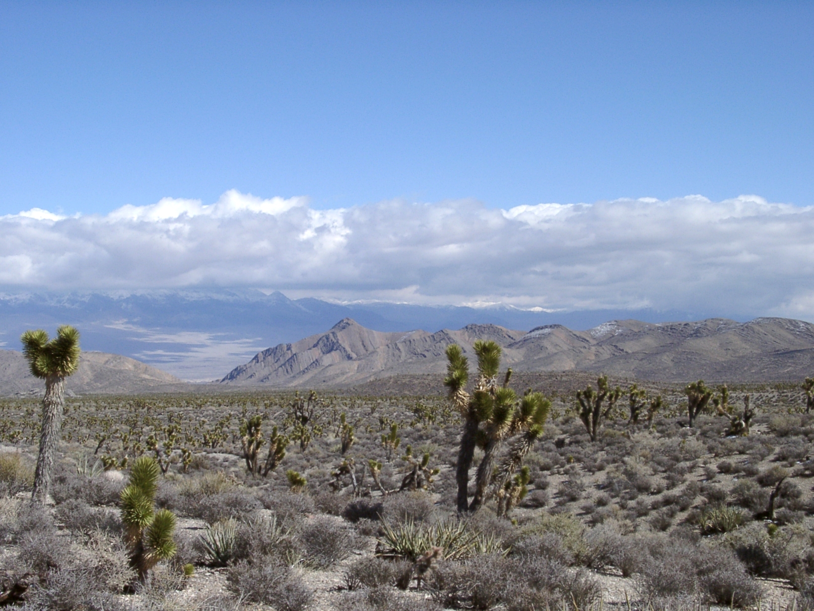 Lasvegasclimate