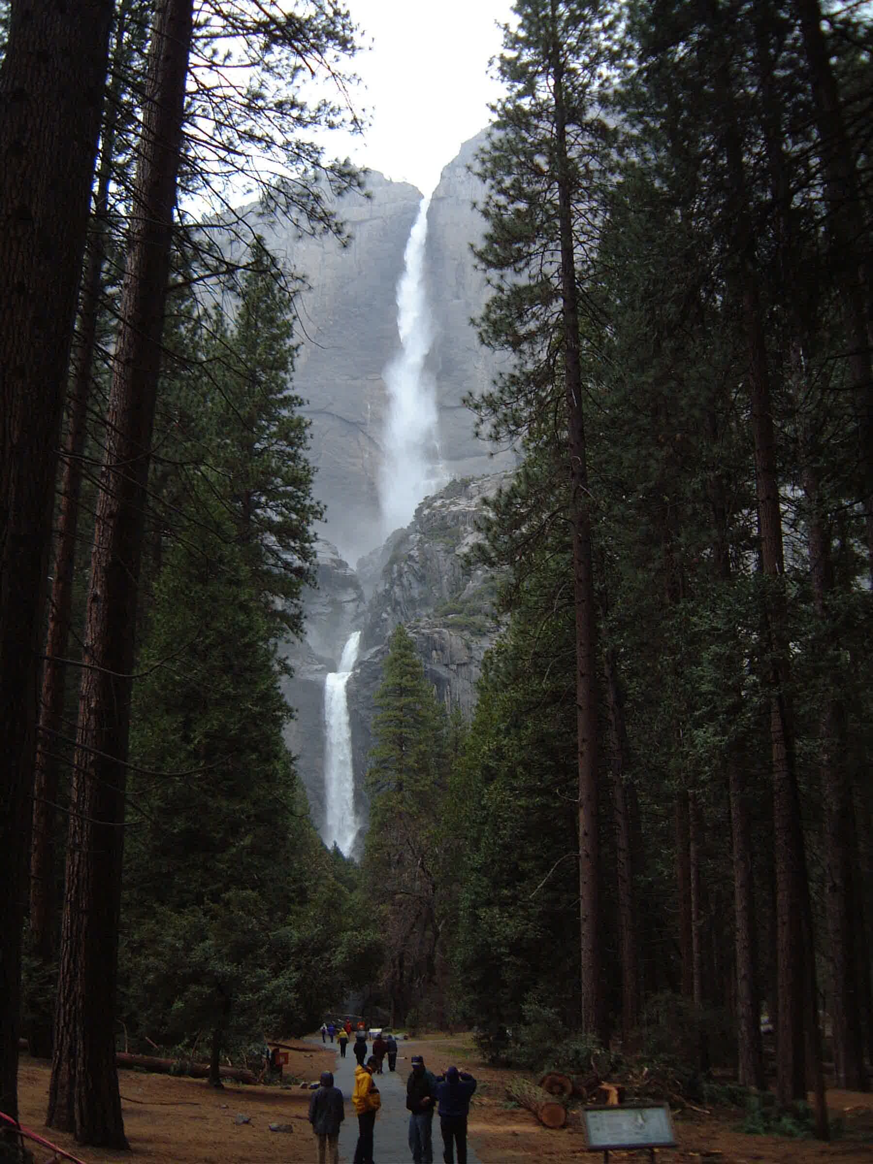 bild481