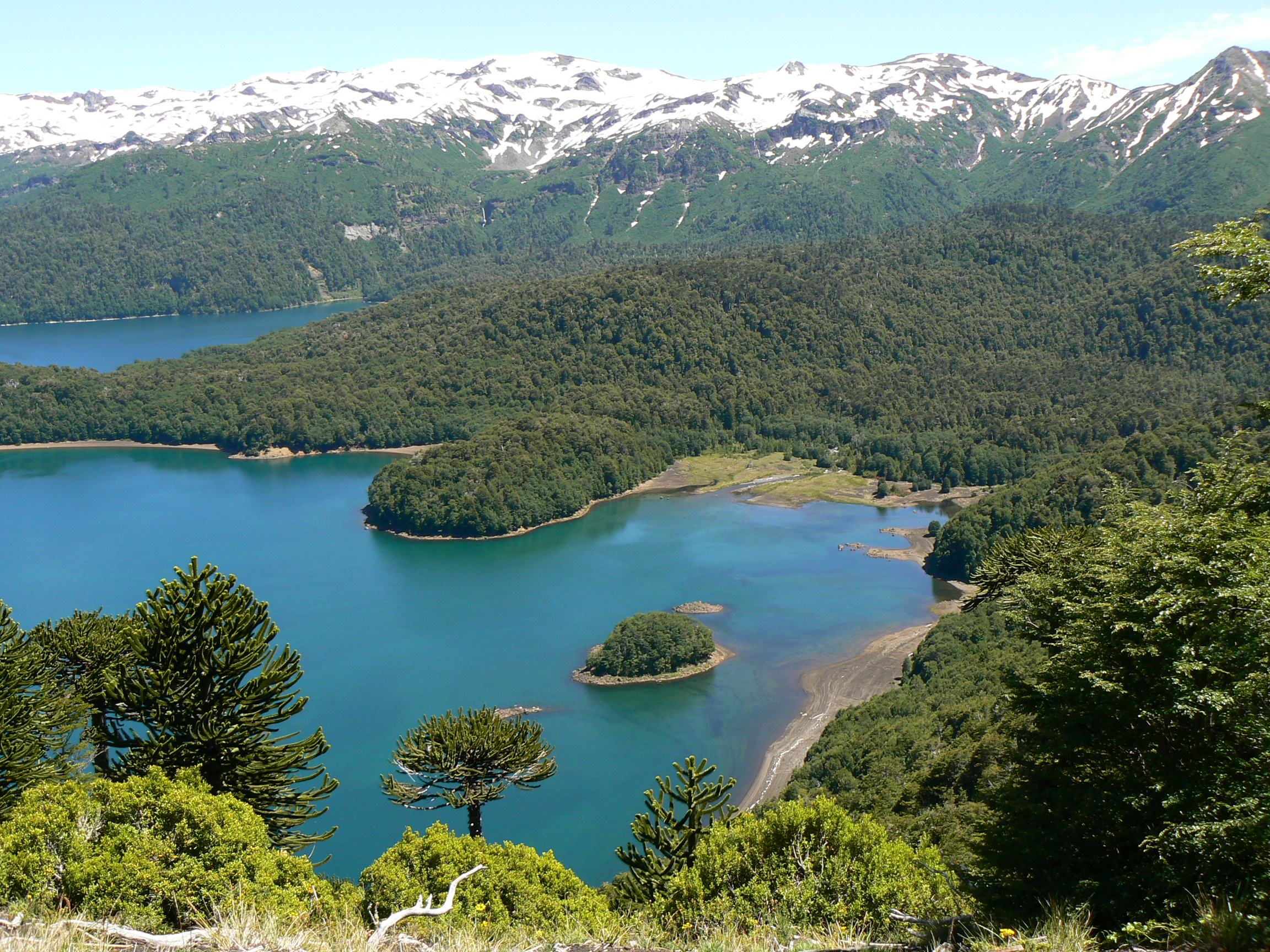 Looking out over Lago Conguillio
